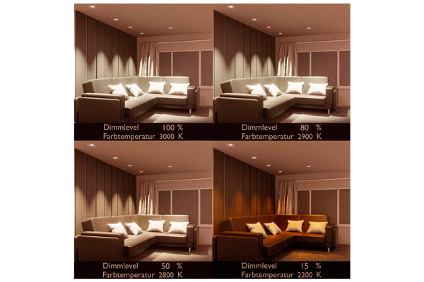 LED-Spot 24V, MR16, 5W, Dim to Warm, 3000K-2200K, CRI90
