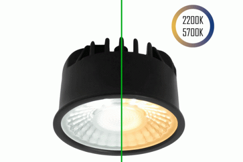LED-Spot 24V, MR16, 5W, 2200K/5700K, CRI90 (Tuneable White, CCT) – kein Zubehör