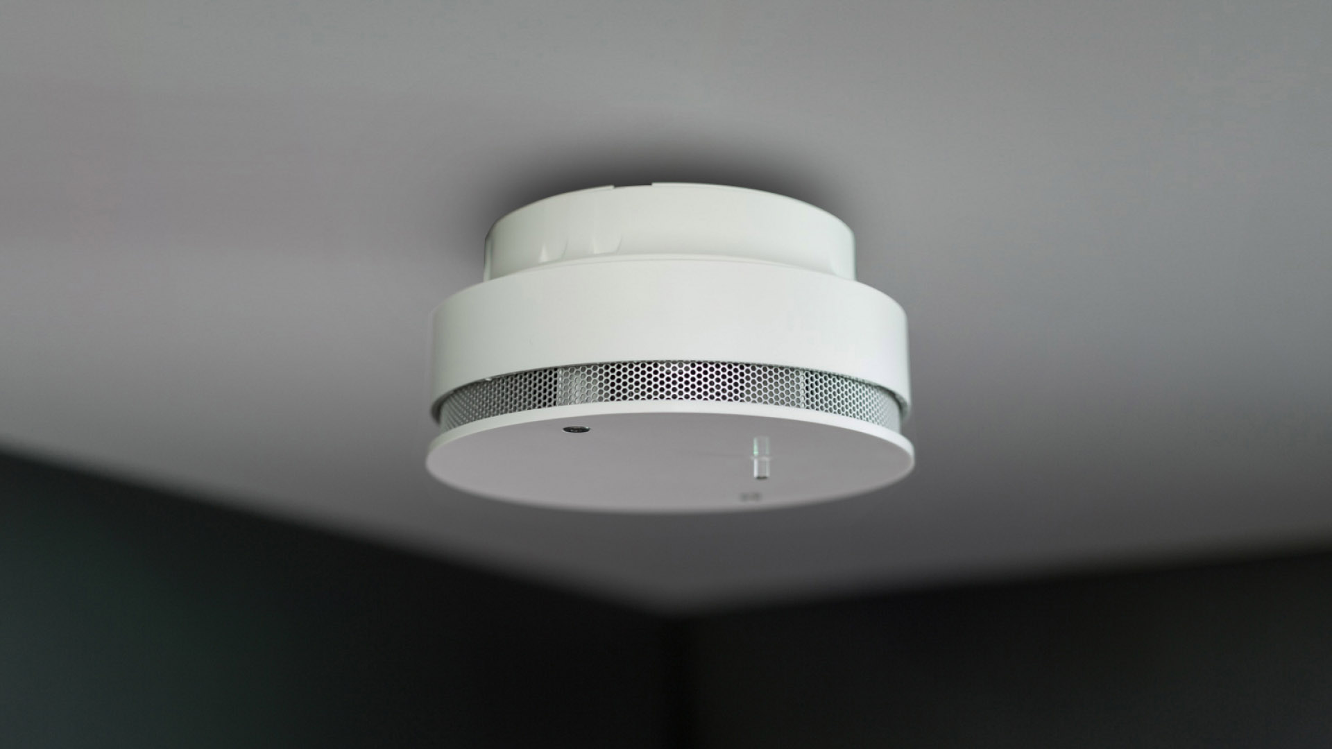 PH Bento Smoke Detector 3