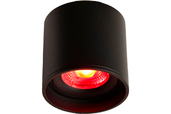 LED Ceiling Spot 24V, 8W, RGBW/2700K, CRI90