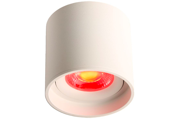 LED Ceiling Spot 24V, 8W, RGBW/2700K, CRI90